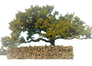 B_corktree2.jpg