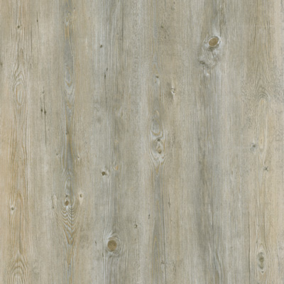 Cortex_gr_510050_Polareiche.jpg