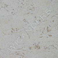 Wic_fal_tek_valenciablanco.jpg