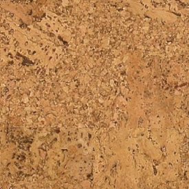 Wic_padlo_accent2.jpg